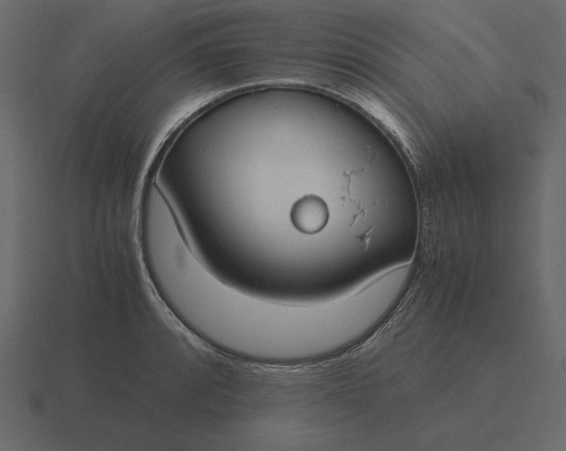 X0000116621088200912241748