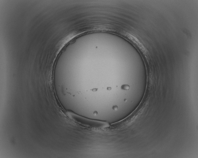 X0000116621089200912241748