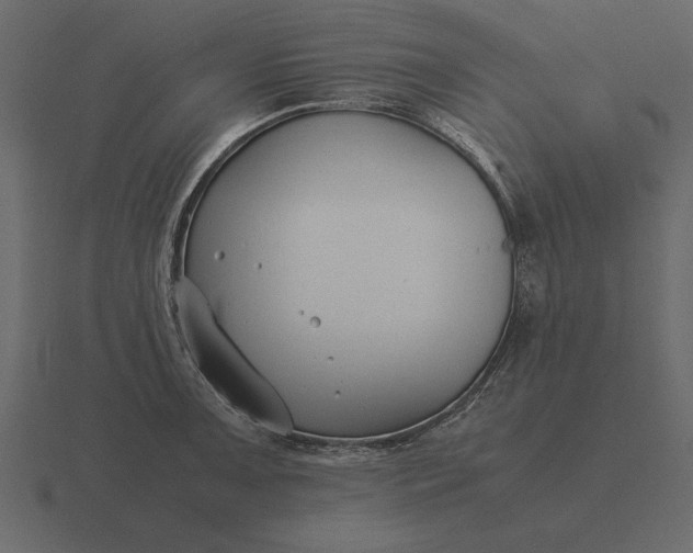 X0000116621091200912241748