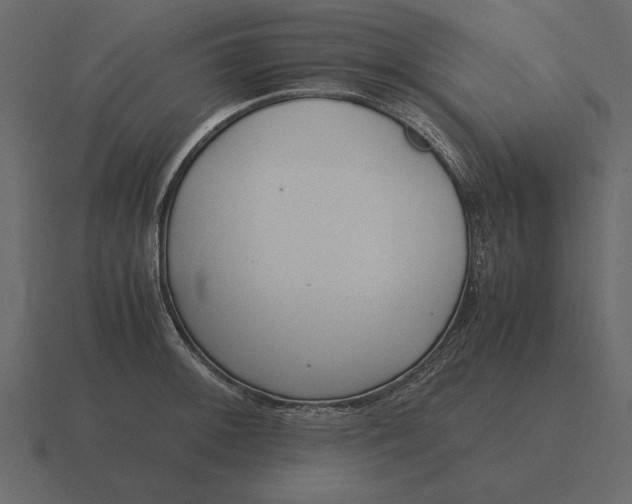 X0000116621092200912241748