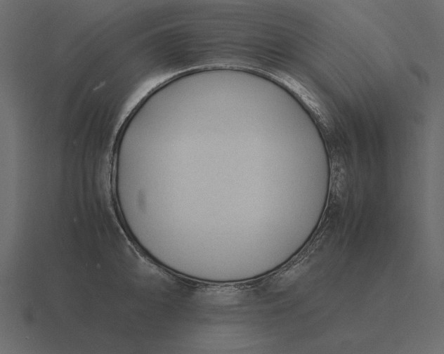 X0000116621094200912241748