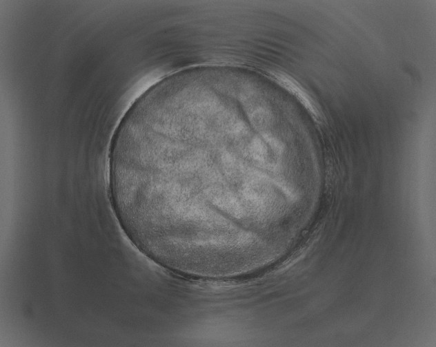 X0000116621095200912241748