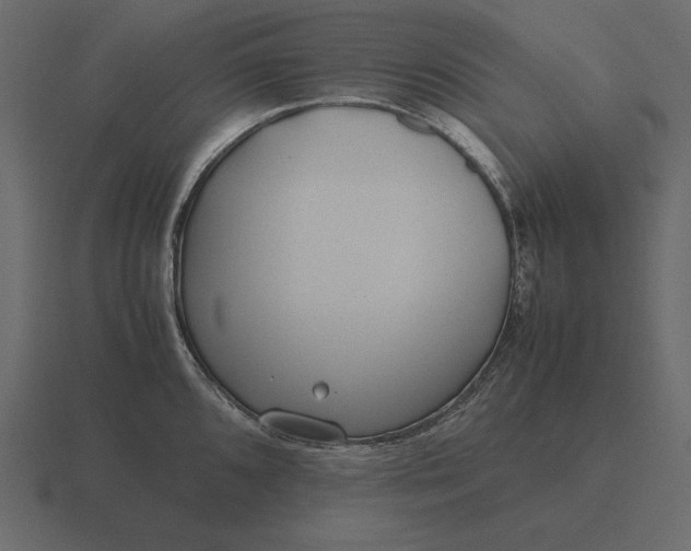 X0000116621096200912241748