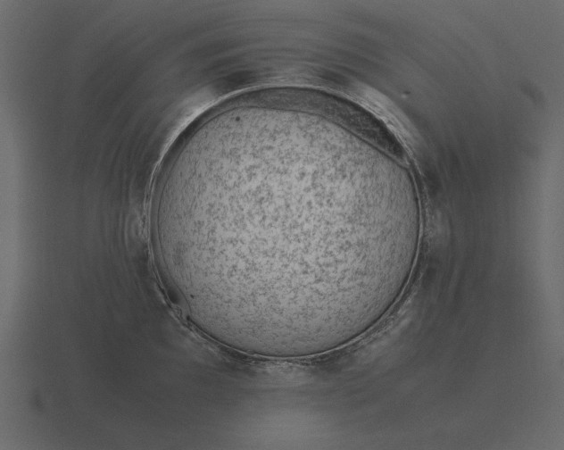 X0000116621097200912241748