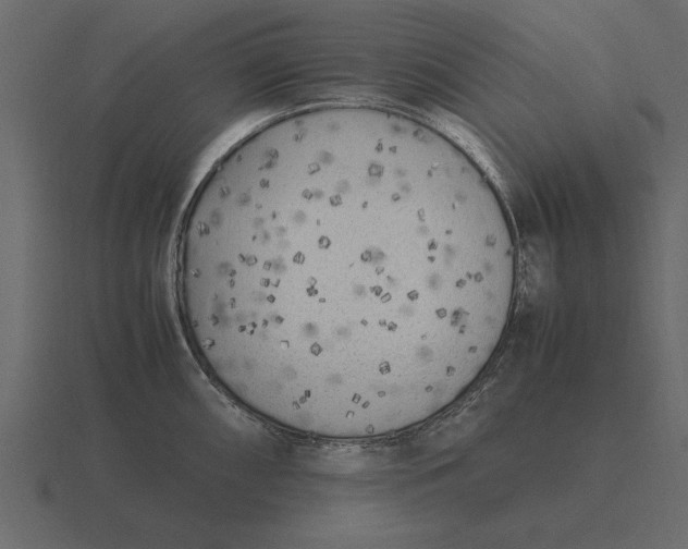 X0000116621098200912241748