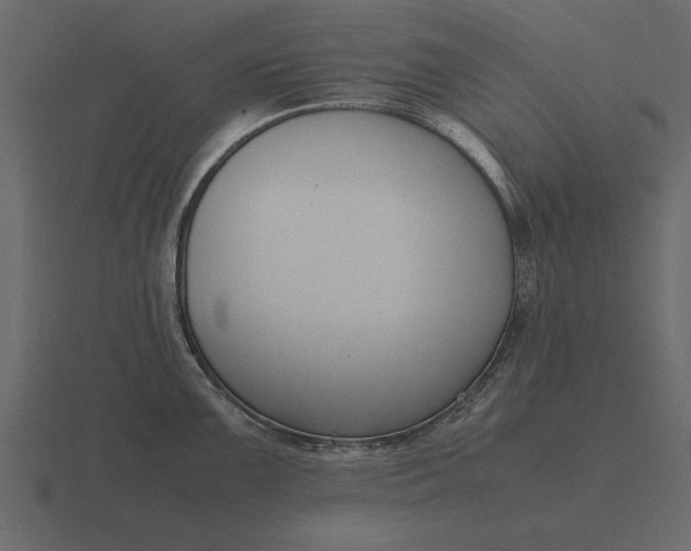 X0000116621099200912241748