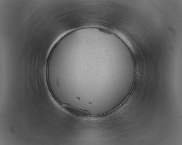 X0000116621100200912241748