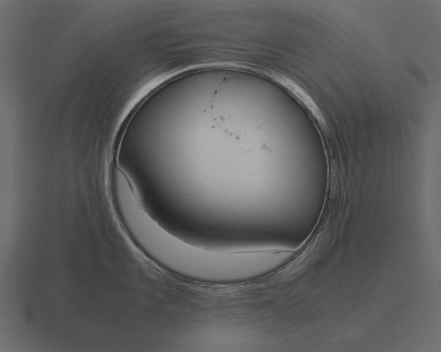 X0000116621101200912241748