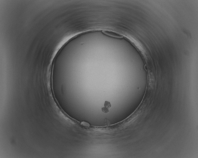 X0000116621102200912241748