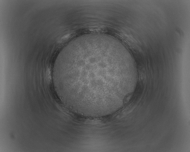 X0000116621106200912241747