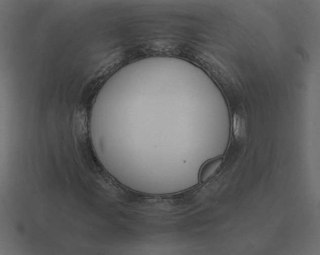 X0000116621107200912241747