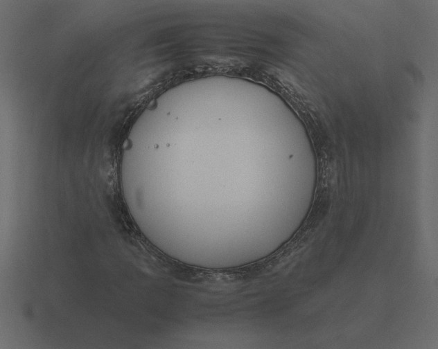 X0000116621109200912241747