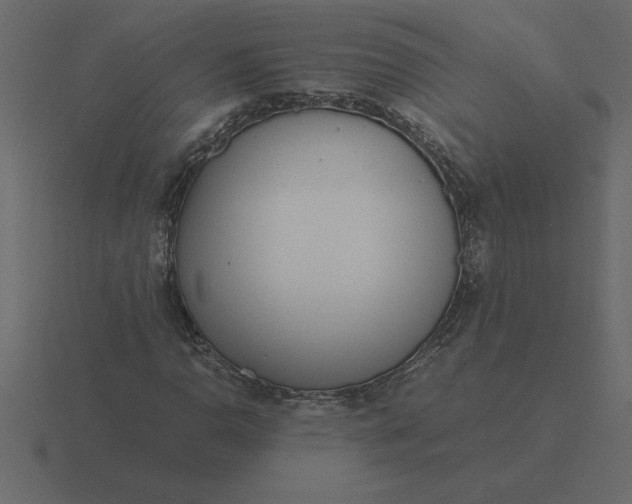 X0000116621110200912241747