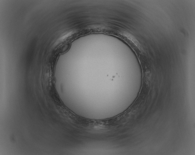 X0000116621111200912241747