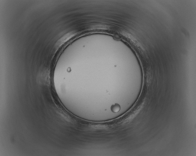 X0000116621113200912241747