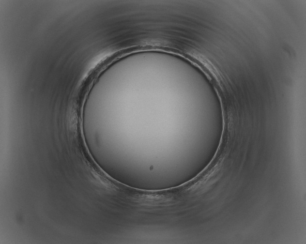 X0000116621115200912241747