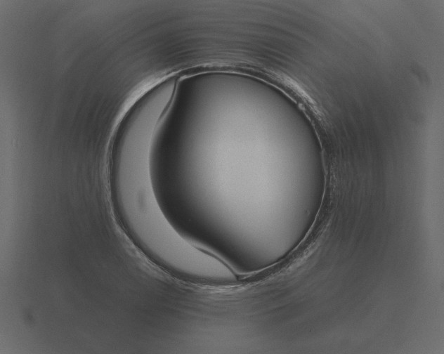 X0000116621122200912241747