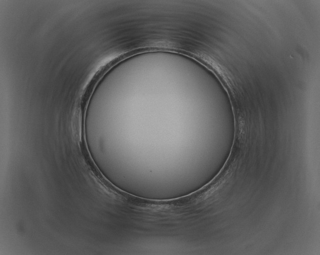 X0000116621123200912241747