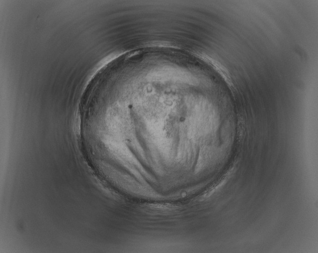 X0000116621125200912241747