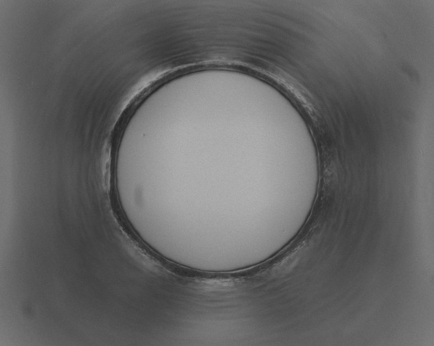 X0000116621126200912241747