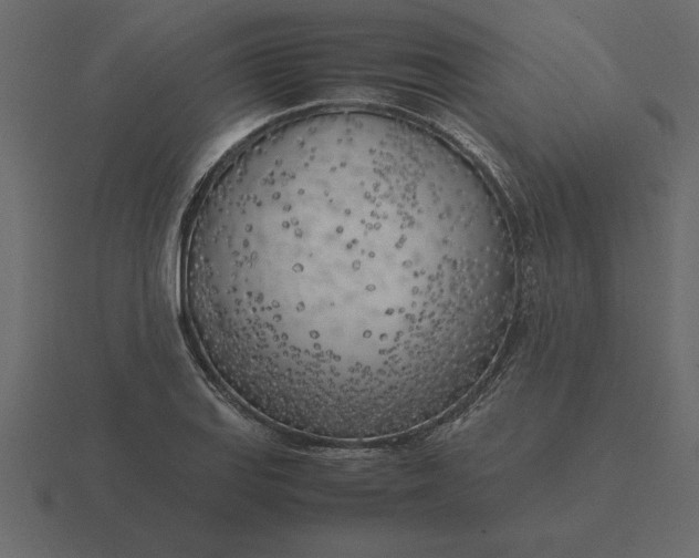 X0000116621127200912241747