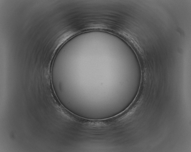 X0000116621129200912241747