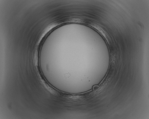 X0000116621131200912241747