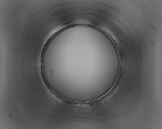 X0000116621133200912241747