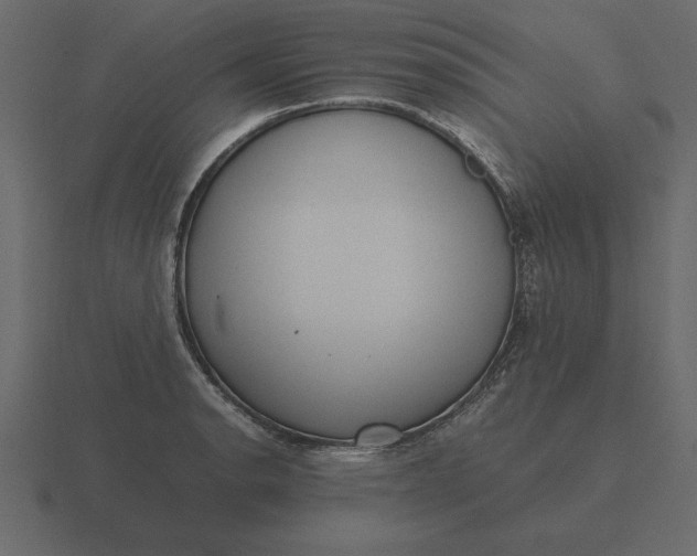 X0000116621134200912241747