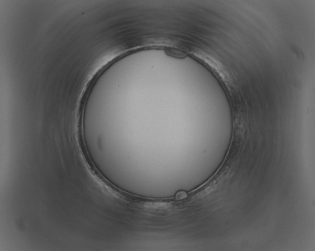 X0000116621135200912241747