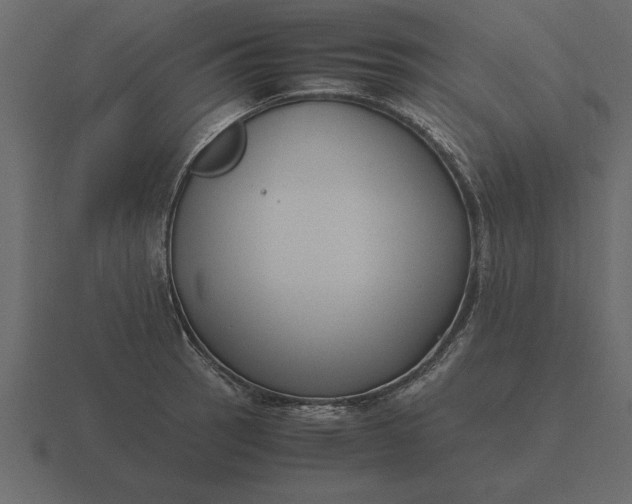 X0000116621137200912241747