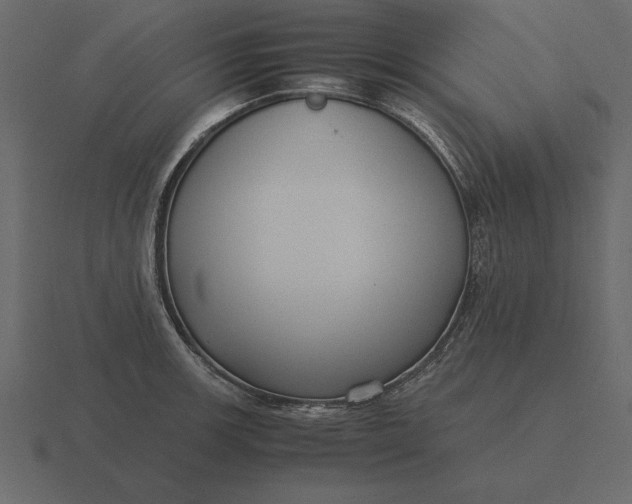 X0000116621139200912241747