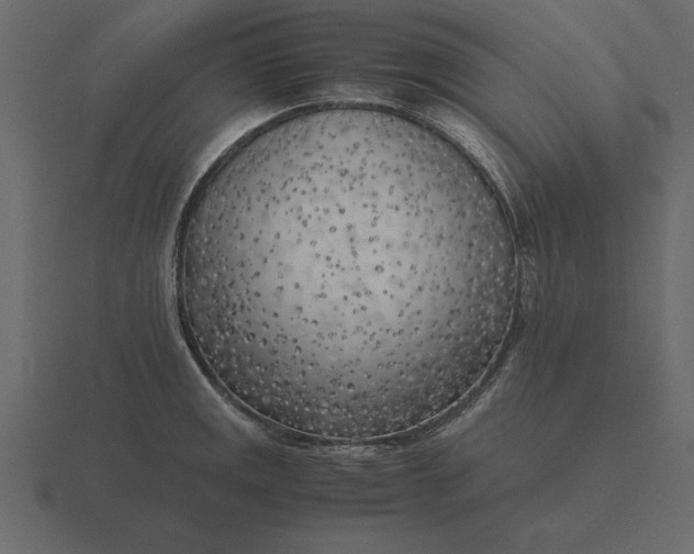 X0000116621141200912241748