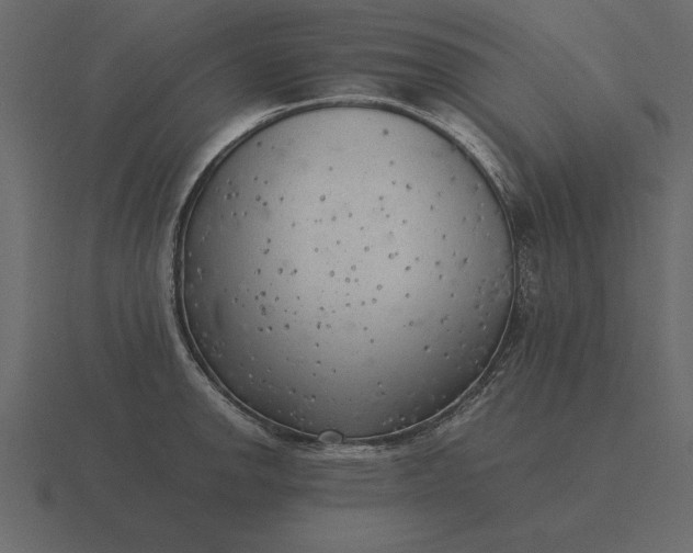 X0000116621142200912241748