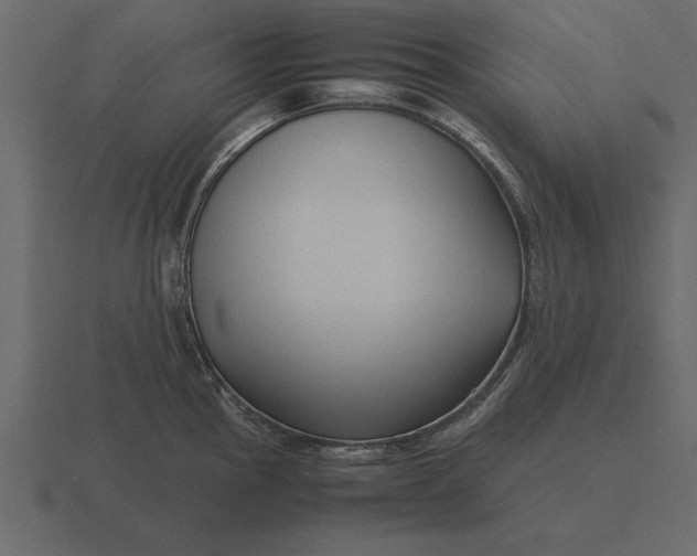 X0000116621145200912241748