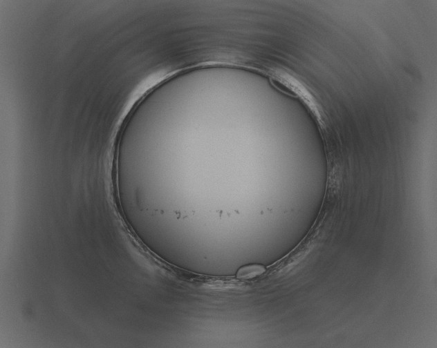 X0000116621146200912241748