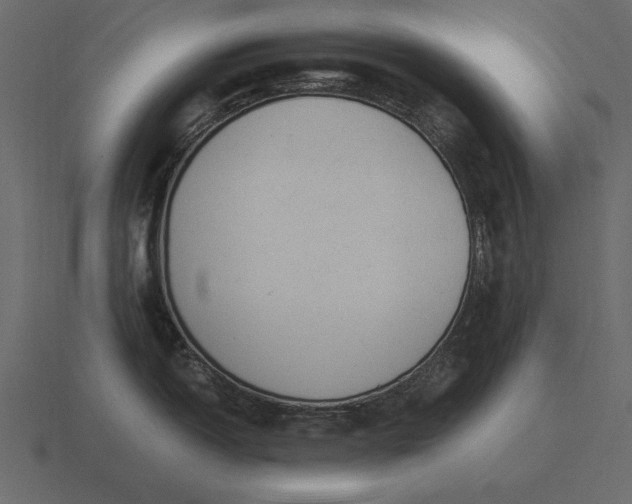 X0000116621150200912241748