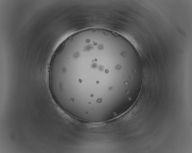 X0000116621151200912241748