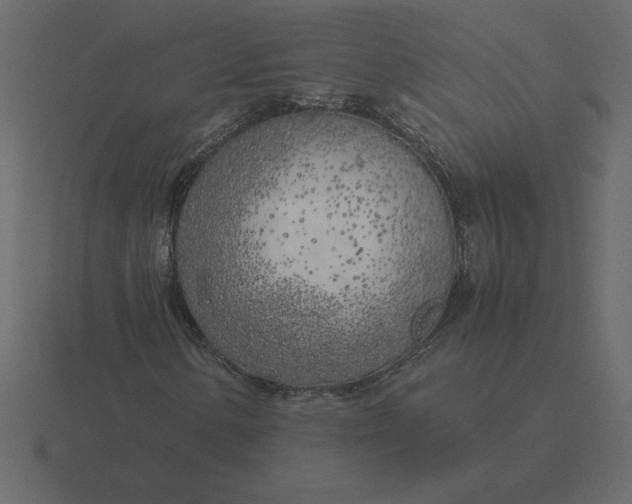 X0000116621154200912241747