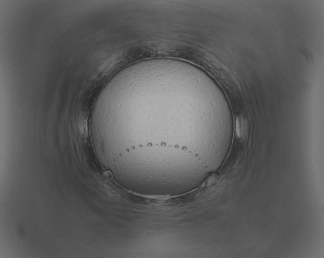 X0000116621155200912241747