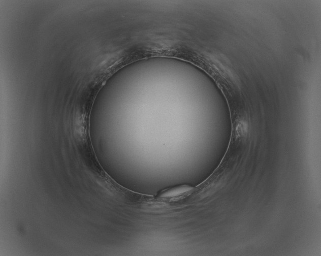 X0000116621156200912241747