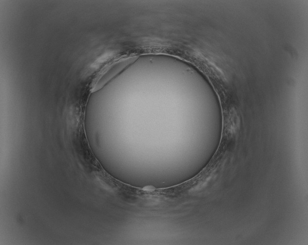 X0000116621157200912241747