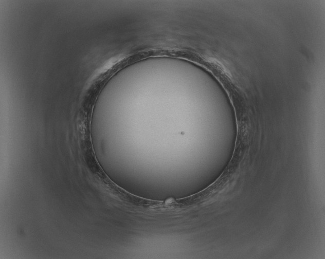 X0000116621159200912241747