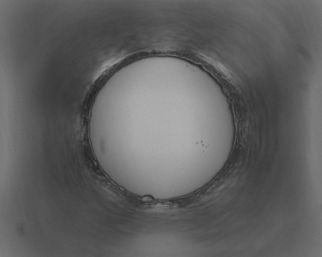 X0000116621160200912241747