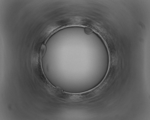 X0000116621161200912241747