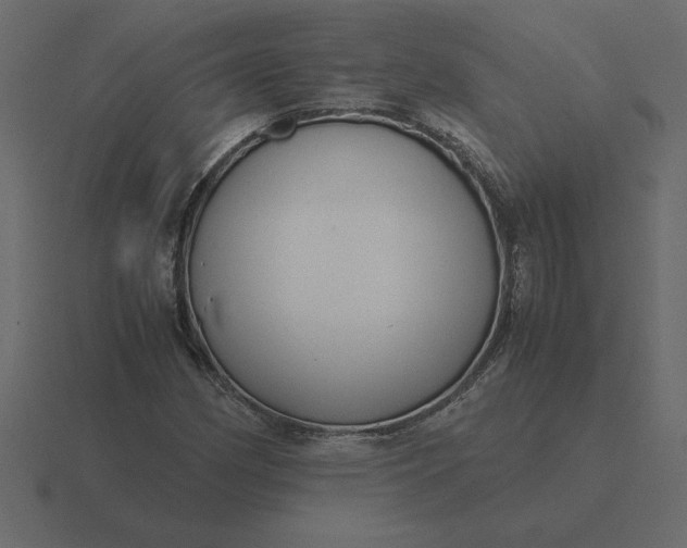 X0000116621162200912241747