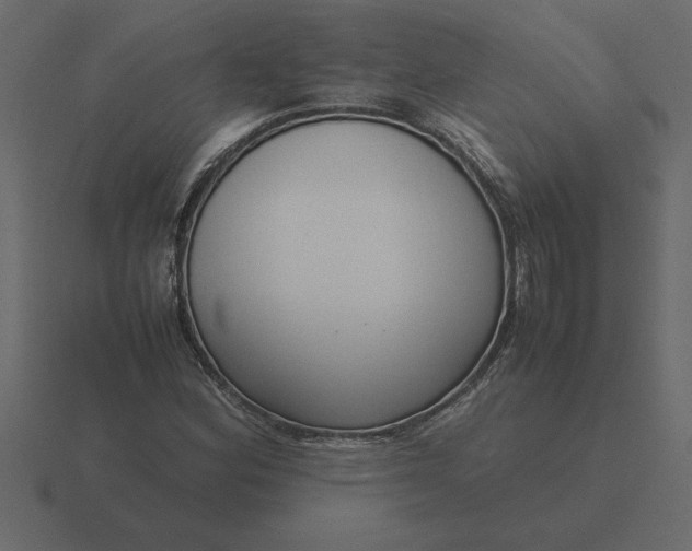 X0000116621164200912241747