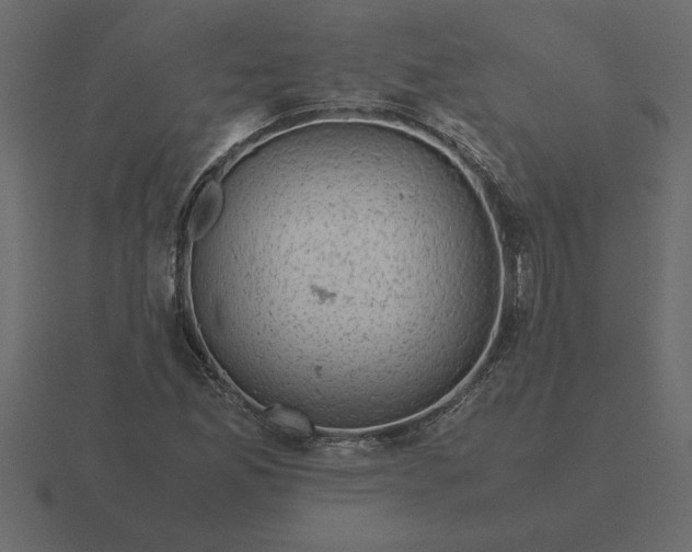 X0000116621165200912241747