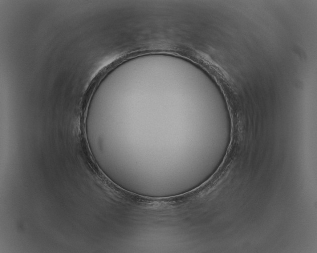 X0000116621166200912241747