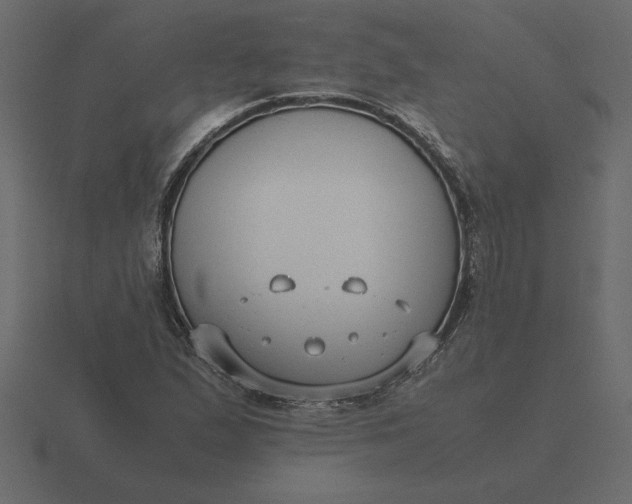 X0000116621167200912241747